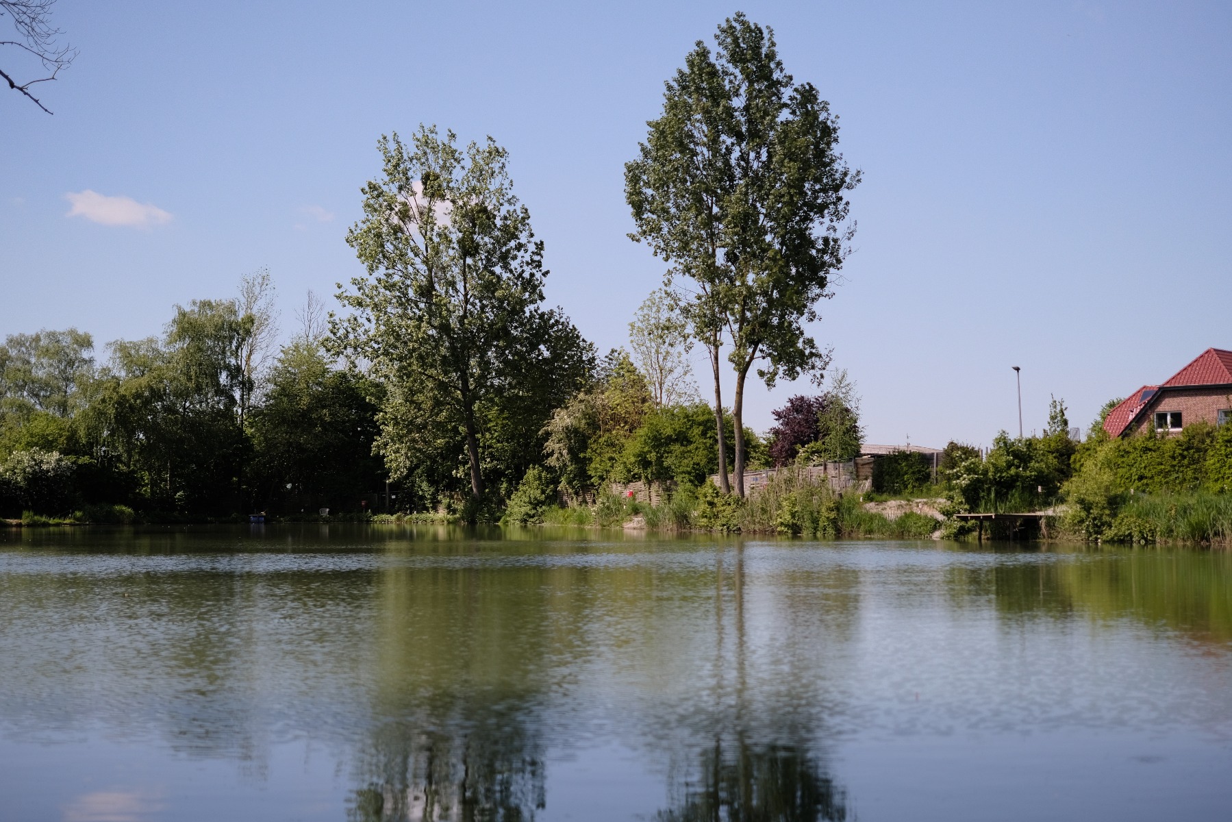 Angelparadies Herrhausen: Blick auf den See